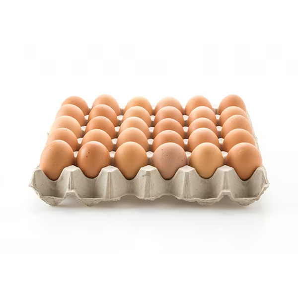 Huevos tipo B Kikes Carton x 30 Un